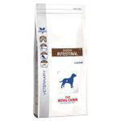 Picture of Royal Canin Gastro Intestinal (Dog) 14kg
